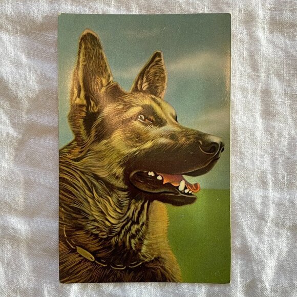 Alfred Mainzer German Shepherd Dog Squeaking Postcard - Picture 8 of 9